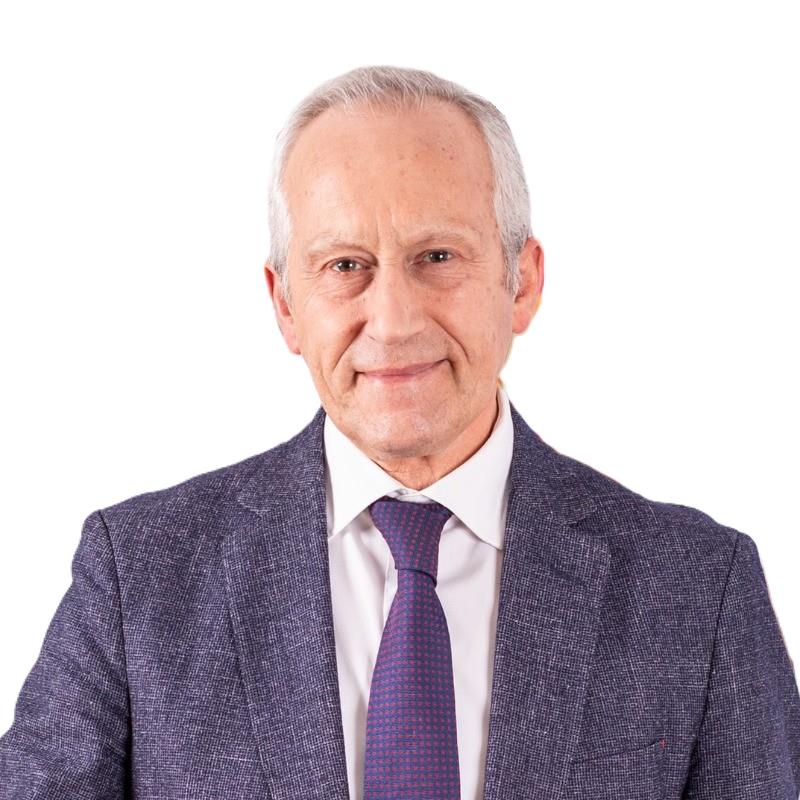 Joaquin Gonzalez Iglesias — CEO Higoma